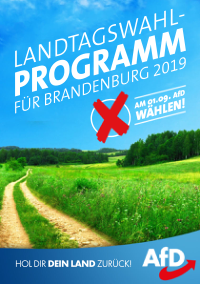 AfD BB Wahlprogramm 2019
