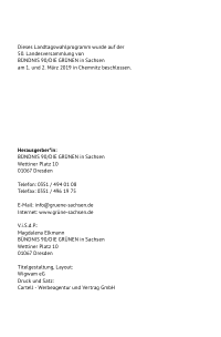 Grüne SN Wahlprogramm 2019