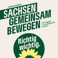 BÜNDNIS 90/DIE GRÜNEN Sachsen Wahlprogramm 2024